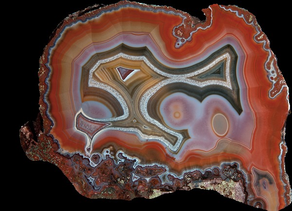 コレクターズアイテム】コンドルアゲート Condor Agate Pair