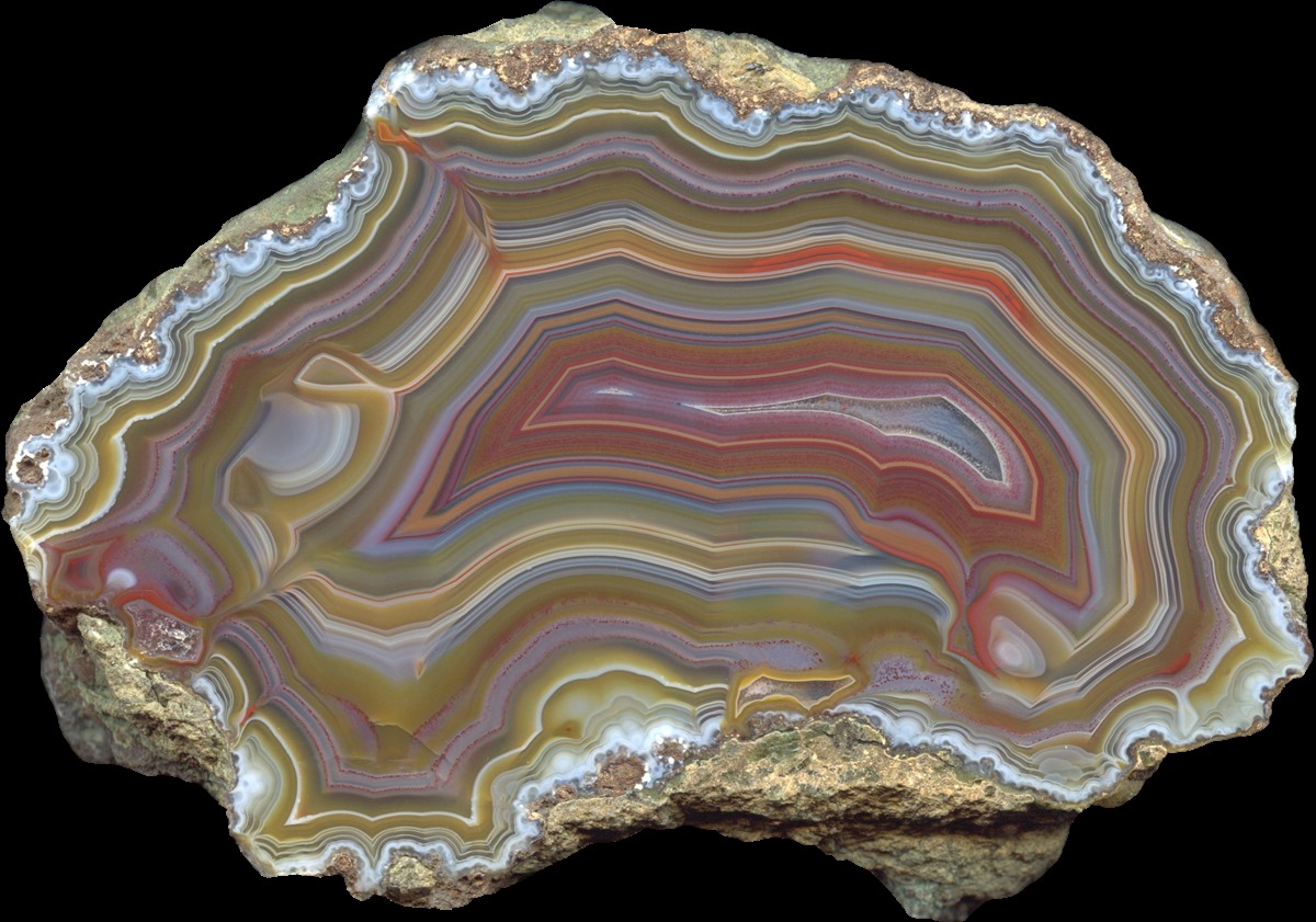 コレクターズアイテム】コンドルアゲート Condor Agate Pair